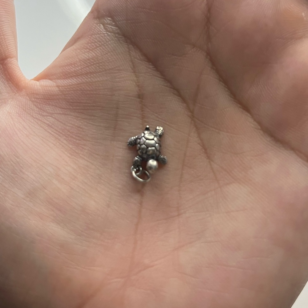 James Avery turtle charm